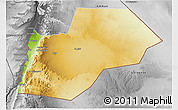 Physical 3D Map of Ma-an, desaturated