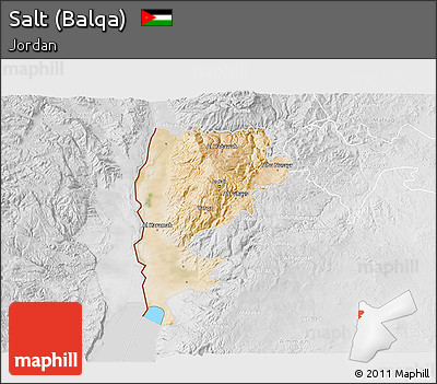 Satellite 3D Map of Salt (Balqa), lighten, desaturated