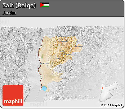 Satellite 3D Map of Salt (Balqa), lighten, desaturated