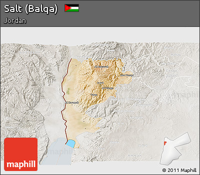 Satellite 3D Map of Salt (Balqa), lighten, semi-desaturated