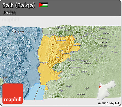 Savanna Style 3D Map of Salt (Balqa)