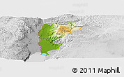 Physical Panoramic Map of Salt (Balqa), lighten, desaturated