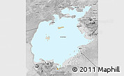 Satellite 3D Map of Aral Sea, desaturated
