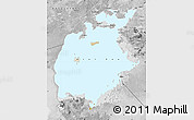 Satellite Map of Aral Sea, desaturated
