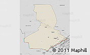 Shaded Relief 3D Map of Chimkent, desaturated