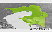Physical Panoramic Map of Guryev, desaturated