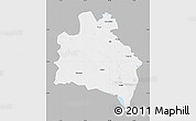 Gray Map of Semipalatinsk, single color outside