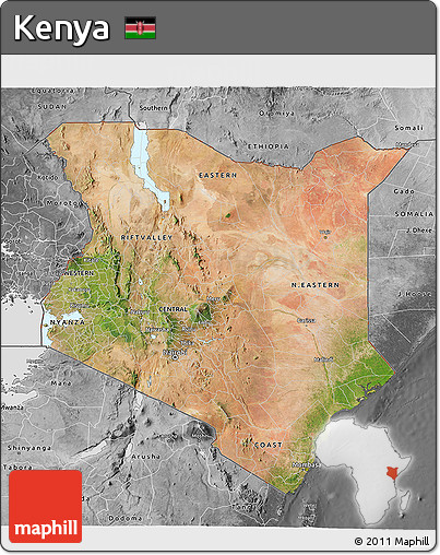 Satellite 3D Map of Kenya, desaturated