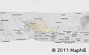 Shaded Relief Panoramic Map of KIENI WEST, desaturated