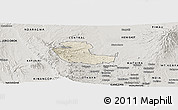 Shaded Relief Panoramic Map of KIENI WEST, semi-desaturated