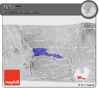 Political 3D Map of TETU, lighten, desaturated