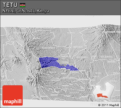 Political 3D Map of TETU, lighten, desaturated