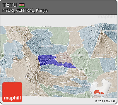 Political 3D Map of TETU, lighten, semi-desaturated