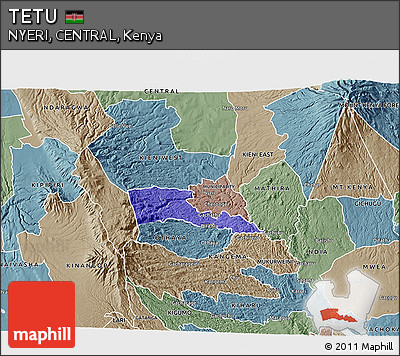 Political 3D Map of TETU, semi-desaturated