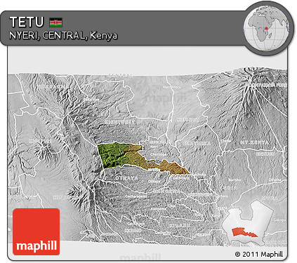Satellite 3D Map of TETU, lighten, desaturated