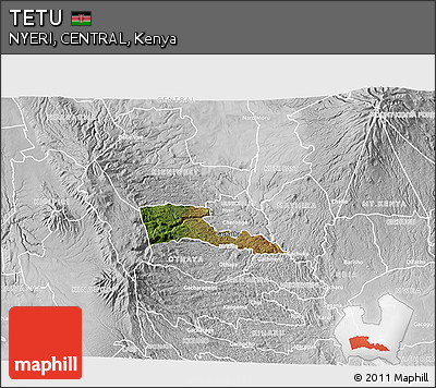 Satellite 3D Map of TETU, lighten, desaturated