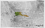 Satellite 3D Map of TETU, lighten, desaturated