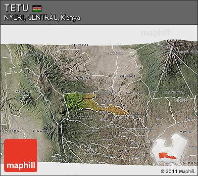 Satellite 3D Map of TETU, semi-desaturated