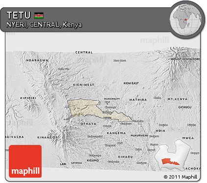 Shaded Relief 3D Map of TETU, desaturated