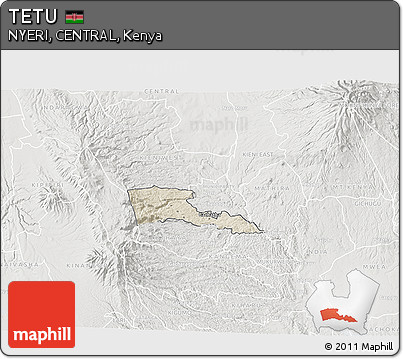 Shaded Relief 3D Map of TETU, lighten, semi-desaturated