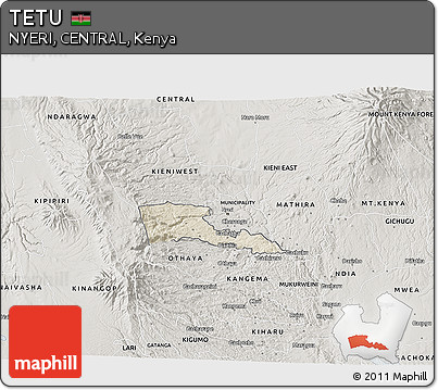 Shaded Relief 3D Map of TETU, semi-desaturated