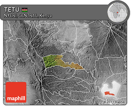Satellite Map of TETU, desaturated