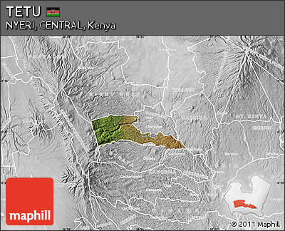 Satellite Map of TETU, lighten, desaturated