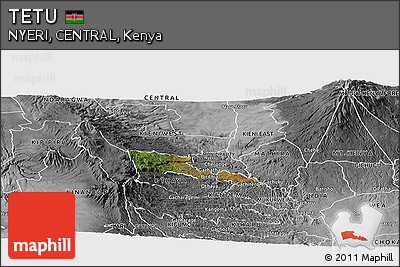 Satellite Panoramic Map of TETU, desaturated