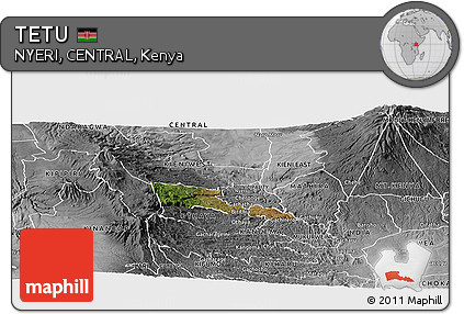 Satellite Panoramic Map of TETU, desaturated