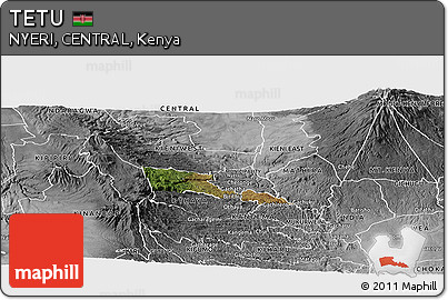 Satellite Panoramic Map of TETU, desaturated