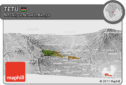 Satellite Panoramic Map of TETU, lighten, desaturated