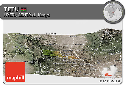 Satellite Panoramic Map of TETU, semi-desaturated