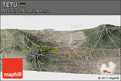Satellite Panoramic Map of TETU, semi-desaturated