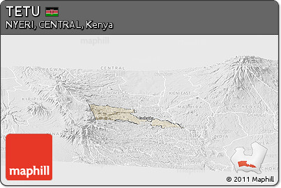 Shaded Relief Panoramic Map of TETU, lighten, desaturated