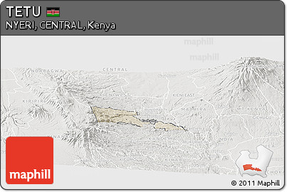 Shaded Relief Panoramic Map of TETU, lighten, semi-desaturated