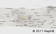 Shaded Relief Panoramic Map of TETU, semi-desaturated