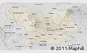 Shaded Relief Panoramic Map of CENTRAL, desaturated