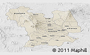 Shaded Relief Panoramic Map of CENTRAL, lighten, desaturated