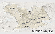 Shaded Relief Panoramic Map of CENTRAL, lighten