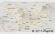 Shaded Relief Panoramic Map of CENTRAL, semi-desaturated