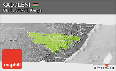 Physical Panoramic Map of KALOLENI, desaturated