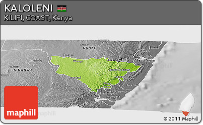 Physical Panoramic Map of KALOLENI, desaturated