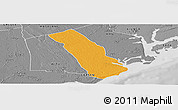 Political Panoramic Map of MPEKETONI, desaturated