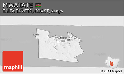 Gray Panoramic Map of MWATATE, single color outside