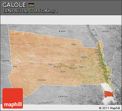 Satellite 3D Map of GALOLE, desaturated