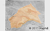 Satellite 3D Map of MERTI, desaturated