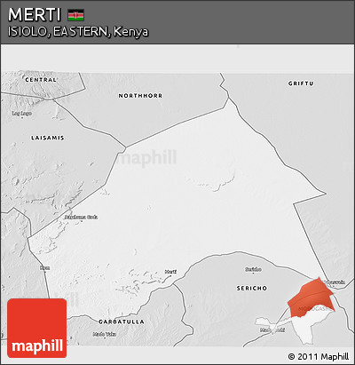 Silver Style 3D Map of MERTI
