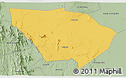 Savanna Style 3D Map of LAISAMIS