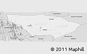 Silver Style Panoramic Map of LAISAMIS