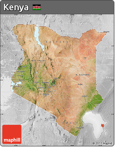 Satellite Map of Kenya, lighten, desaturated